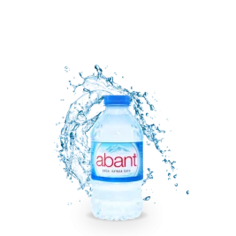 Abant 0.33 L Pet Su