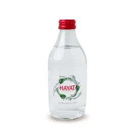 Hayat 330 ml ULW Cam Su
