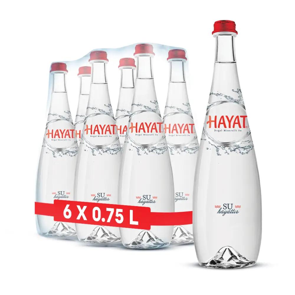 Hayat 750 ml Cam Su